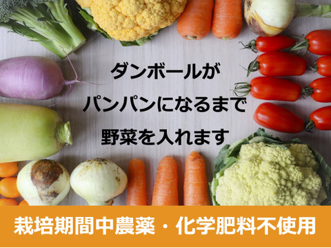 2〜4名様向け野菜セット／旬の野菜7種