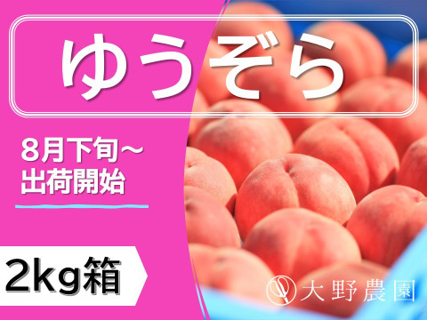 【桃：ゆうぞら】晩成腫の代表！最高の甘味と食味！2kg程度（8～5個入り）