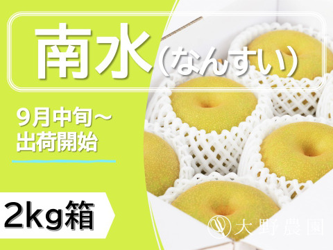今大注目されている甘くてジューシーな梨【梨：南水】6～4個（2㎏程度）
