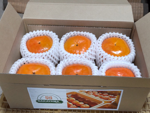 早生甘柿！早秋柿（秀品６個）贈答用