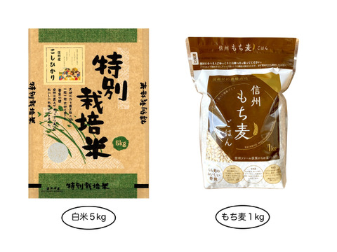 【白米5kg】+【もち麦1kg】残留農薬ゼロ!情熱の結晶よくばりセット 令和2年産