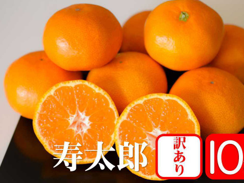 毎年大好評!!【訳あり10kg】寿太郎みかん　2月からのみかんは寿太郎！！