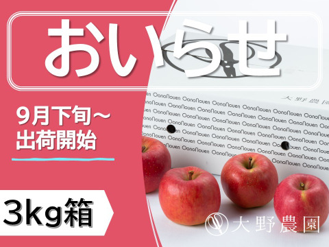 【りんご：おいらせ ・3kg程度】濃紅色で大玉、甘さも強く食味抜群の希少りんご！