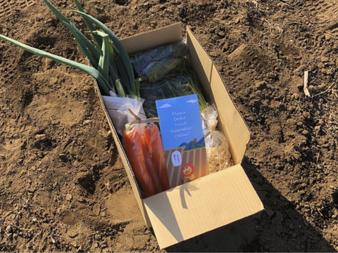 2〜4名様向けセット／野菜5〜7種＋加工品