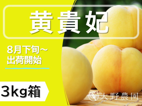 【桃：黄貴妃】  最上級の味わい、香り、見た目の美しさから黄貴妃と命名・3kg箱（12個～8個入り）