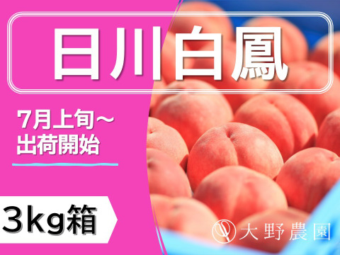 もも太様　山梨県産　天然の桃ジュース　日川白鳳　3kg箱×2箱　即日発送 83899c1d68a017e6a6fba7537a352b