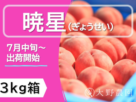 桃：暁星・3kg箱】甘みが強くてコクのある小玉品種：福島県産の