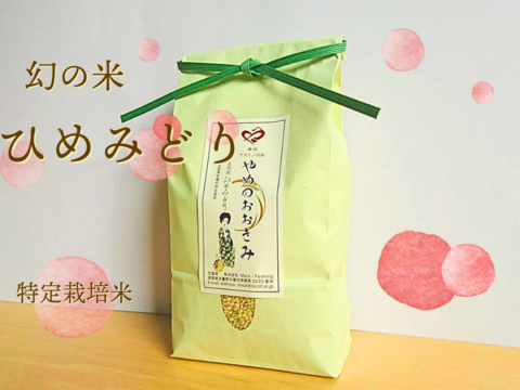 【ポスト投函】令和６年産【希少種 幻の米】古代米 ひめみどり（緑米）玄米５００ｇ　プチッと甘み弾ける！　特別栽培米