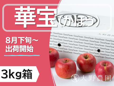 ＜2025年先行予約＞【りんご：華宝（かほう）】早生品種なのに超高クオリティーな希少りんご！12～6個程度（3kg程度）