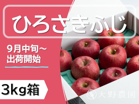 りんご  ひろさきふじ（早生ふじ） りんごの王様ふじ系人気品種！10～7個程度（3㎏程度）