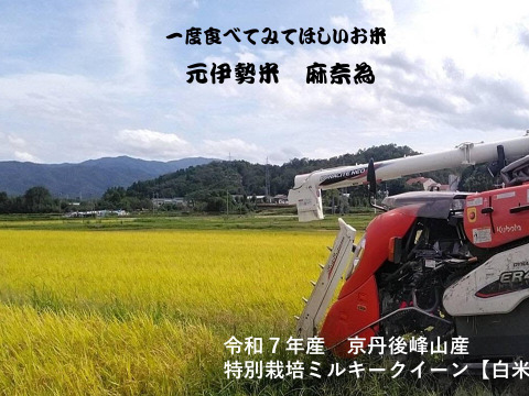 【令和７年・新米予約】♣️品のあるミルキークイーン🌾
京都・京丹後峰山産　特別栽培米５㎏【白米】