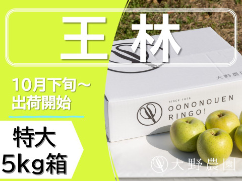 【りんご：王林】癒やしの香り豊かな時間 青りんご特大14～10個程度（5kg程度）