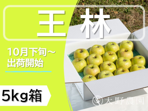 【りんご：王林】癒やしの香り豊かな時間 青りんご20～10個程度（5kg程度）