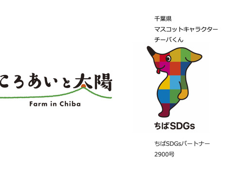 2〜4名様向けセット／野菜5〜7種＋加工品