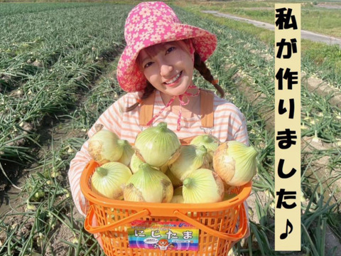 【4月末日まで】農家直送!! 淡路島産ブランド新玉ねぎ 『にじたま』極早生 SMサイズ 3kgダンボール入り（ご家庭用・20個前後）秀品