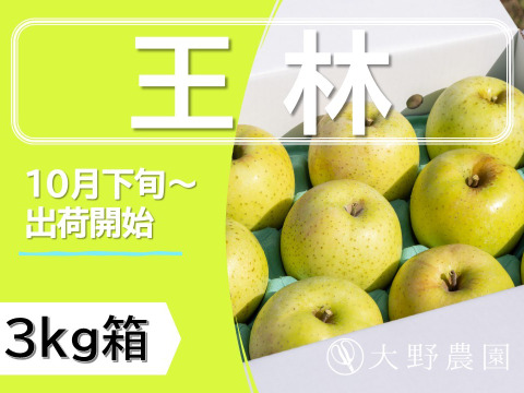 【りんご：王林】癒やしの香り豊かな時間 青りんご 12～6個程度（3kg程度）