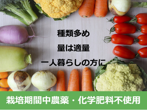 1名様向け野菜セット／旬の野菜5種