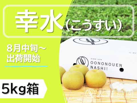 濃厚な甘さと瑞々しさが絶賛の「幸水」18～6個程度（5kg程度）