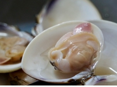 【アワード受賞福袋】
『不動丸満喫福袋』九十九里の海の幸　蛤もヒラメも楽しめるたっぷりセット♪