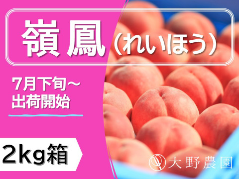 【嶺鳳・2kg程度】濃厚な甘みと食感が特徴のあかつき系希少品種