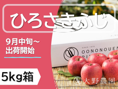 りんご ひろさきふじ（早生ふじ） ふじ系人気品種！ 20～16個程度（5kg程度）