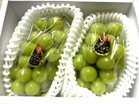 島根県産シャインマスカット　2房【各450g程度／化粧箱入り】