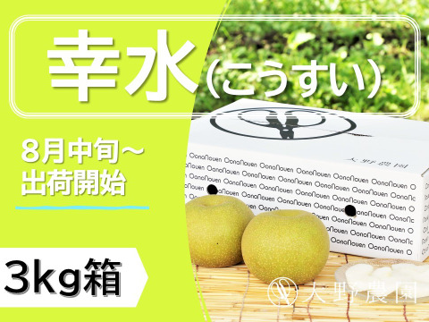 濃厚な甘さと瑞々しさが絶賛の【梨：幸水】9～5個程度（3㎏程度）