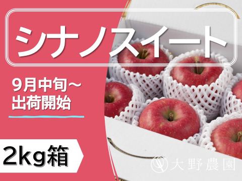 りんご  シナノスイート 大野農園スタッフ投票1位の品種　8～5個程度（2kg程度）