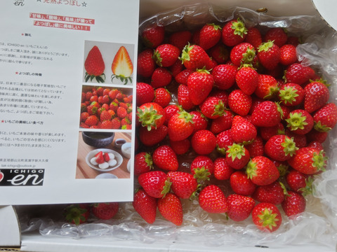よつぼし☆小粒1kg