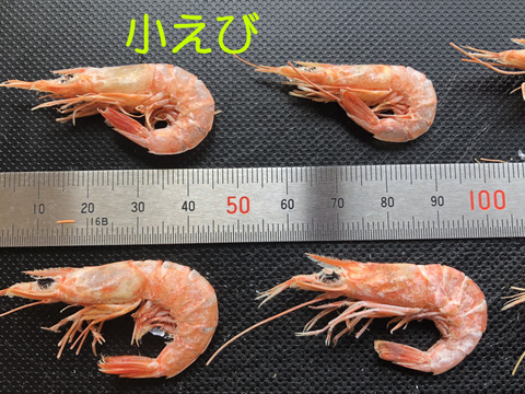 カリッと香ばしい　干しえび　７０ｇ