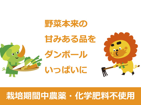 1名様向けセット／野菜4〜6種