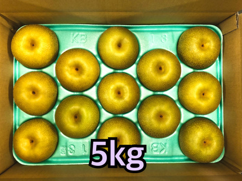 令和6年8月発送【予約】梨 幸水 良品5kg‼️長野県産