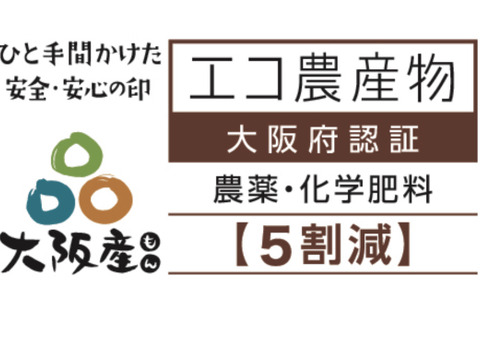❤️特別栽培令和6年新米5kg×2超大粒“米王”‼️甘くてモチモチ、香りの良い能勢天神米「いのちの一粒」（品種名:いのちの壱）白米。