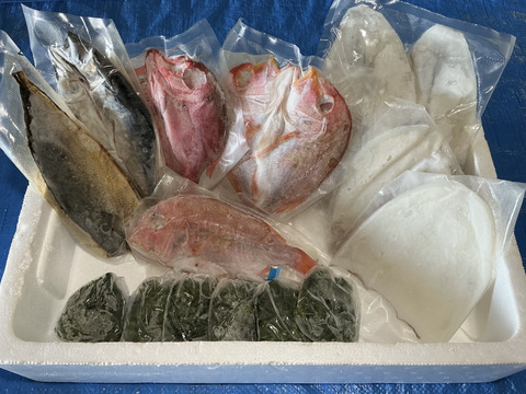 今だけ ✨️季節限定 
五島列島産 海の幸 詰め合わせセット✨
旬の魚バラエティ
何が入るかお楽しみ！！