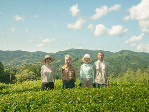 新茶2026年産【有機煎茶】やぶきたみどり(100g)×3パック