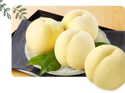 【贈答用】【お中元】岡山白桃3玉箱