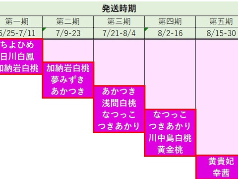 【沖縄向けクール便】【有機栽培の美味しい桃約3kg（第五期）】自然に優しく希少でジューシーな天然桃(9～11個入)！