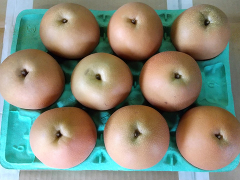 にっこり  3kg　3Lサイズ(9玉入り)