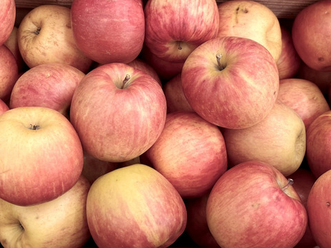 サンふじ小玉ちゃん家庭用（約4.7㎏）23～28玉
Sサイズのかわいいりんご
贈答用ではじかれた、形がいびつだったりキズのあるりんご達
味には変わりありません　まるかじりでどうぞ