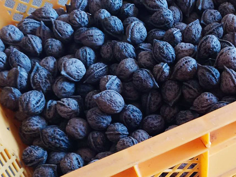 鬼くるみ】新潟県産 和クルミ 割り胡桃 農薬および化学肥料栽培期間中