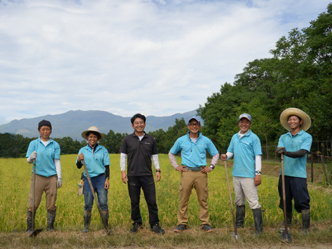 【新米】令和7年産【玄米5kg】残留農薬ゼロ！ 石垣島産 美らひかり