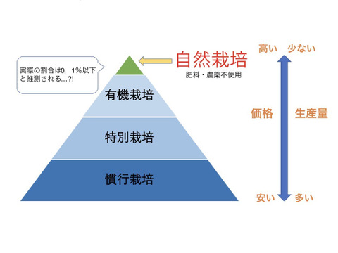 ※（予約注文）最高級ギフト専用
自然栽培レンコン（ダンボール700g）