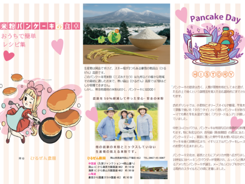 パンケーキに最適 ミズホチカラ 900g 甘みのある雪国栽培 2025年新米の米粉 特別栽培米 岡山の雪国 蒜山高原産