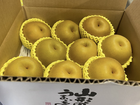 樹上完熟！山形県産和梨 幸水【3キロ】