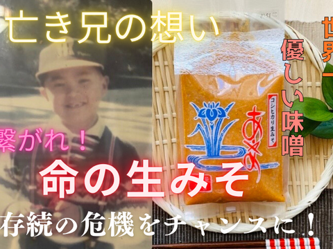 （壱）【くせになる美味しさ!】生味噌なので酵母が生きてる♪新潟県高田農園産の『自家製の糀』で作った『なま味噌』(1kg)