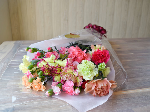 ギフトにピッタリ🎁新鮮・豪華カーネーション農園直送20本花束