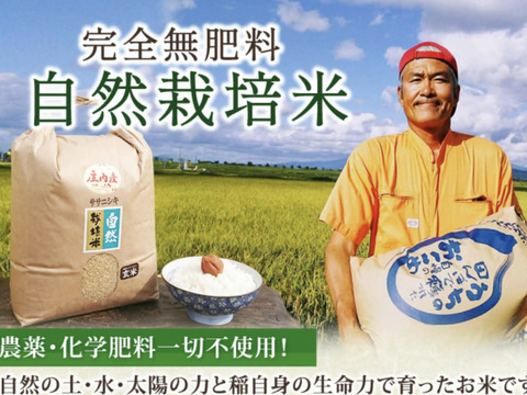 web限定セール 玄米・24kg ササニシキ：山形県 自然栽培米 】米の旨味たっぷり 米・雑穀・粉類
