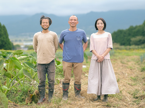 セットでお得♪常温便。野菜セット約8～10種類（農薬化学肥料不使用）と平飼い有精卵20ケ
