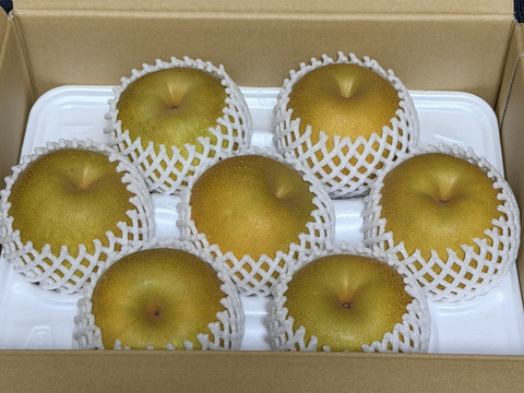 甘熟。PREMIUM幸水梨】贈答用約3kg( 5~7個) シャリっ。ジュワっ
