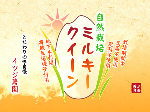 【R4新米】ミルキークイーン・玄米（5kg）【自然栽培　栽培期間中　農薬・肥料不使用】
